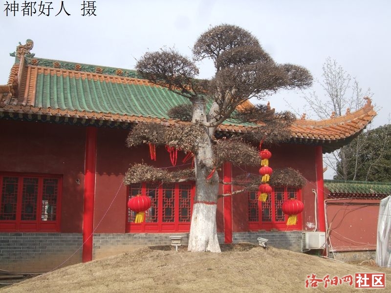 DSCF4089.JPG