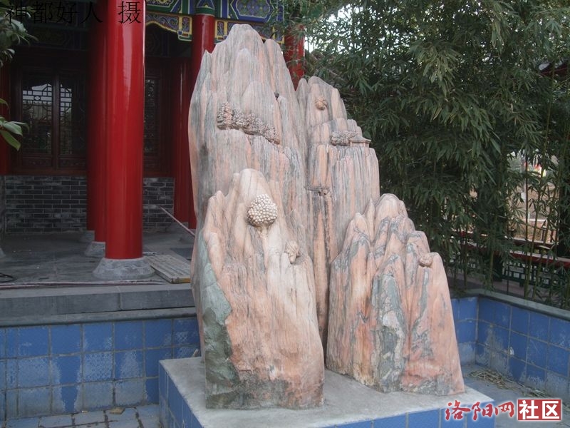 DSCF4146.JPG