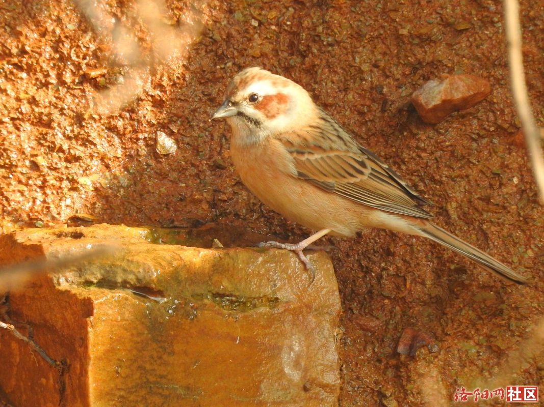 DSCN0165-3.jpg