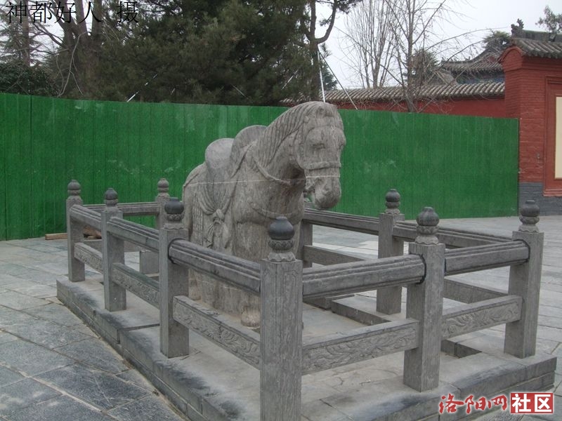 DSCF4002.JPG