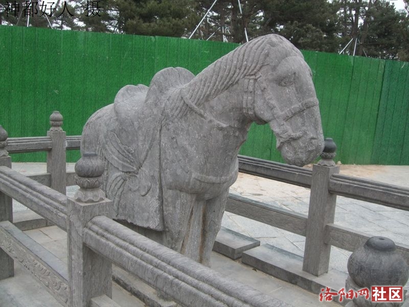 DSCF4003.JPG