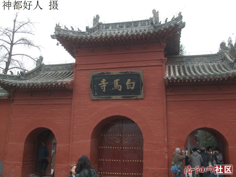 DSCF4004.JPG