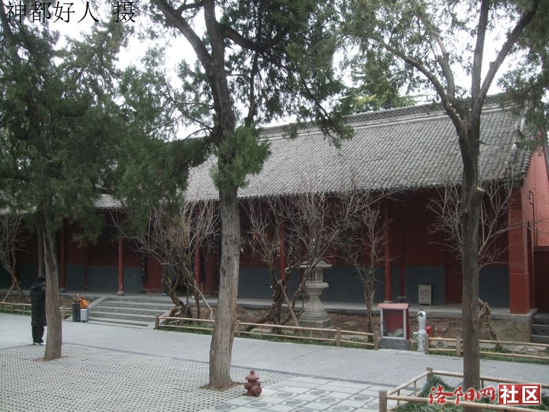 DSCF4008.JPG
