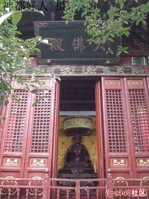 DSCF4010.JPG