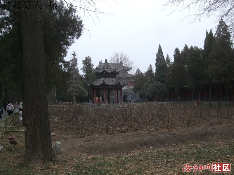 DSCF4012.JPG