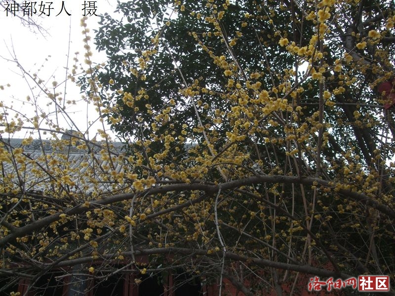 DSCF4014.JPG