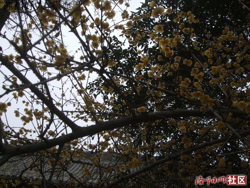 DSCF4015.JPG