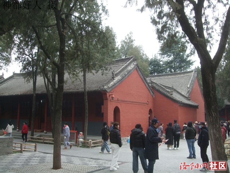 DSCF4017.JPG