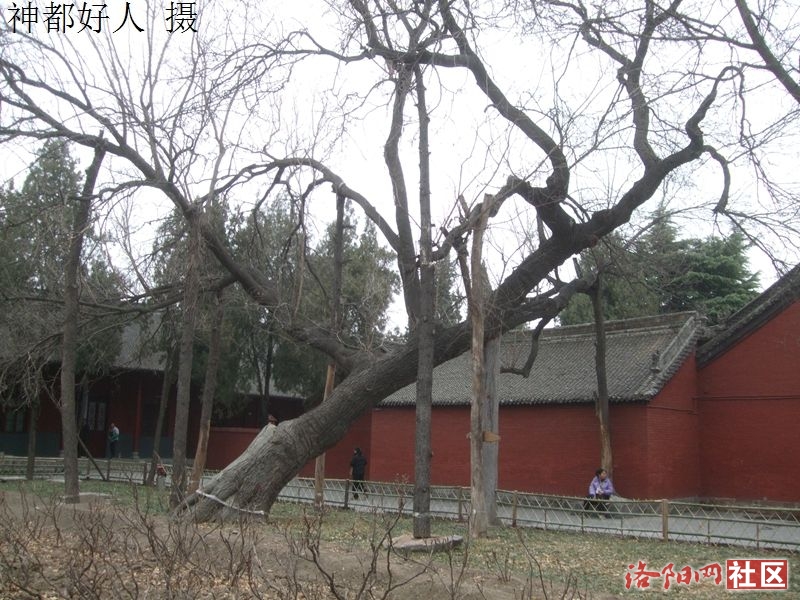 DSCF4018.JPG
