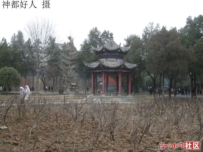 DSCF4019.JPG