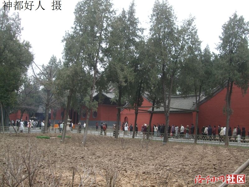DSCF4020.JPG