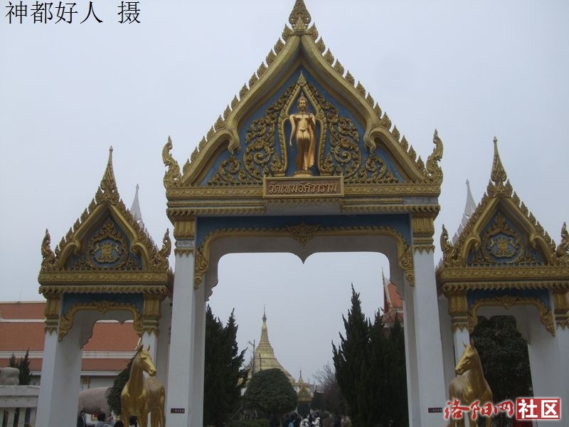 DSCF4025.JPG