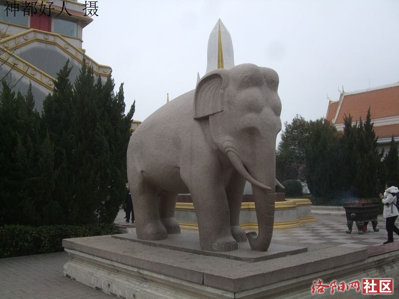 DSCF4027.JPG