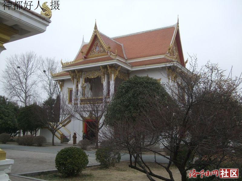 DSCF4031.JPG