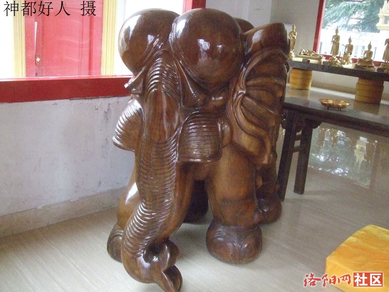 DSCF4033.JPG