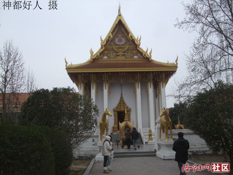 DSCF4036.JPG