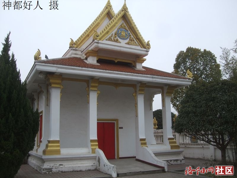 DSCF4037.JPG
