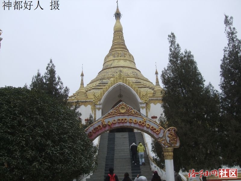 DSCF4039.JPG