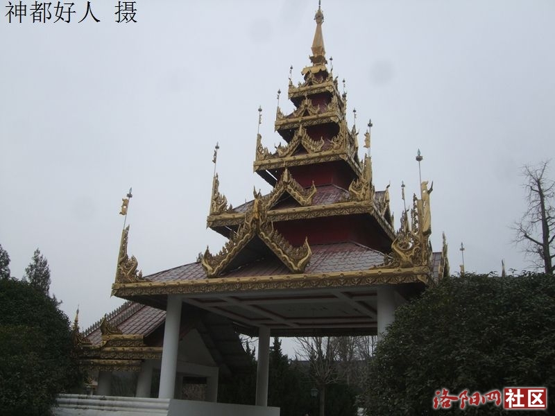 DSCF4040.JPG