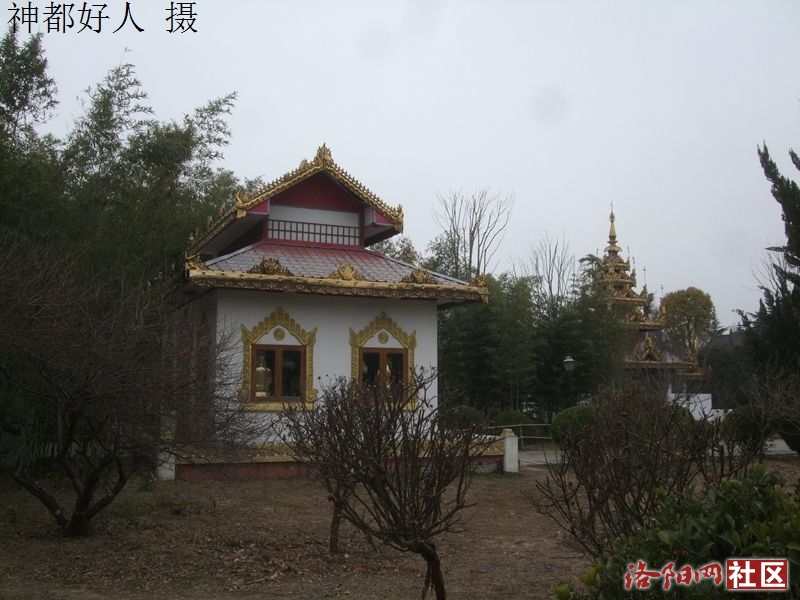DSCF4041.JPG