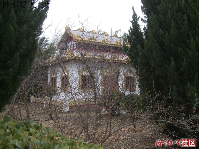 DSCF4043.JPG