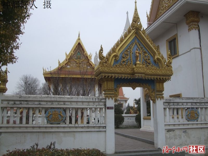 DSCF4046.JPG