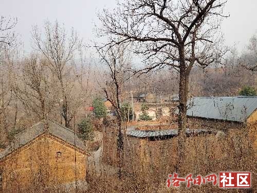 IMG_20250122_101053.jpg