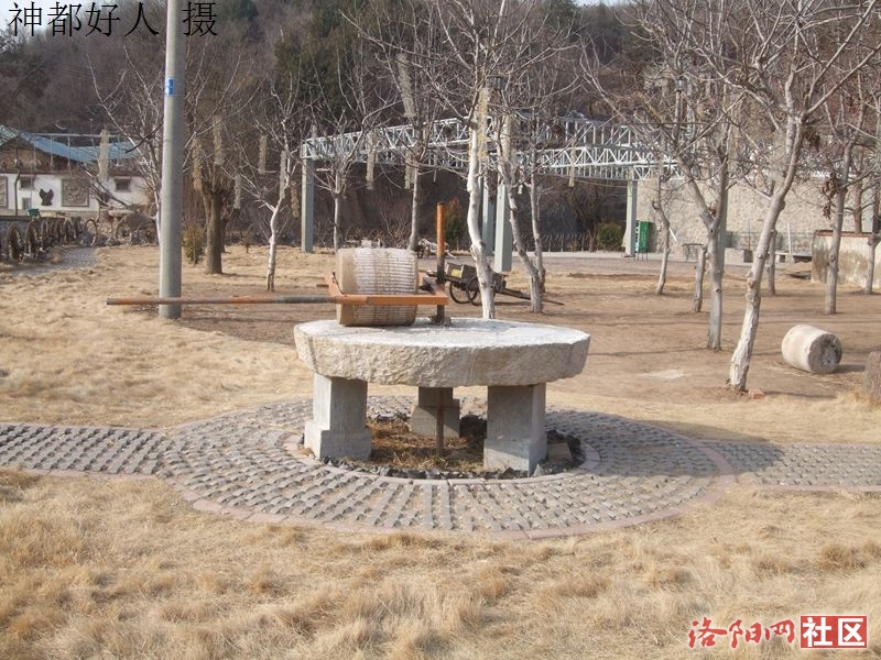 DSCF4042.JPG