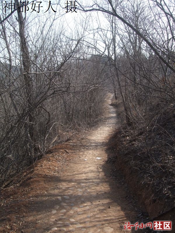 DSCF4145.JPG