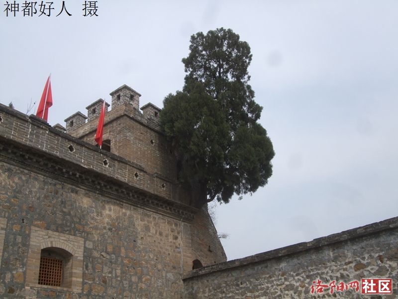 DSCF4096.JPG