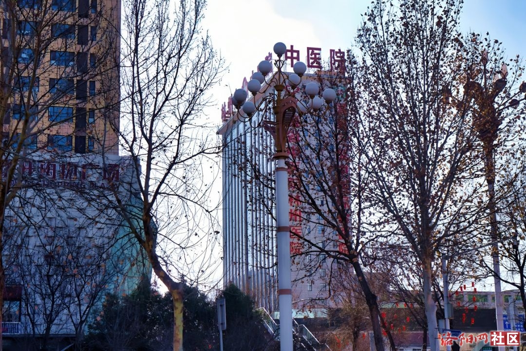 53.jpg