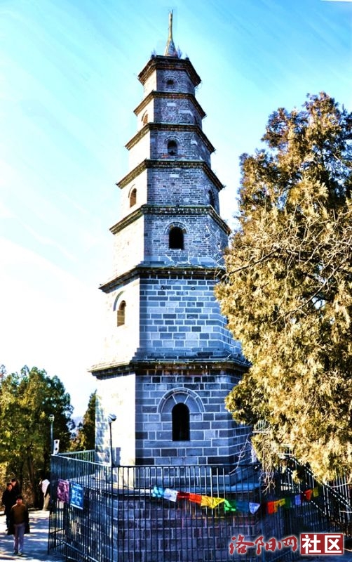 107.jpg