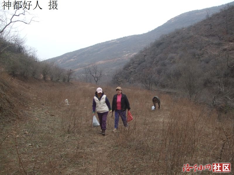 DSCF4003.JPG