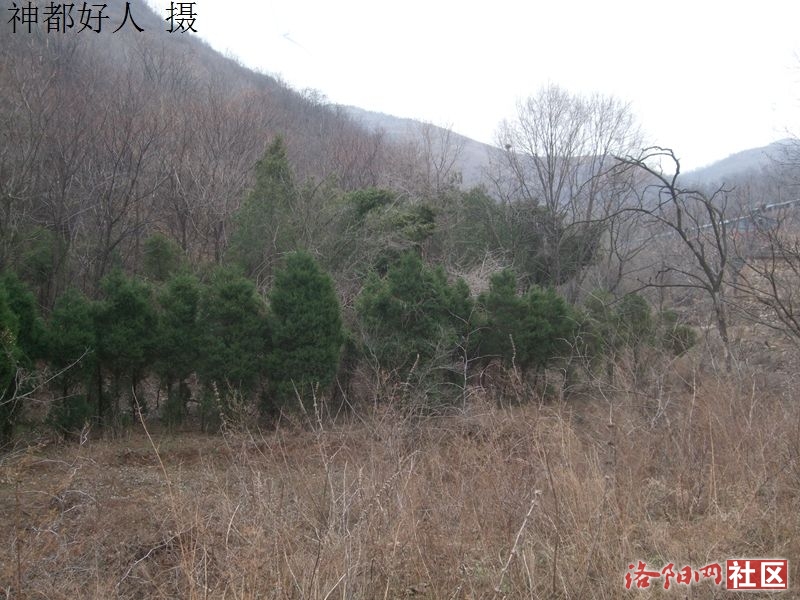 DSCF4002.JPG