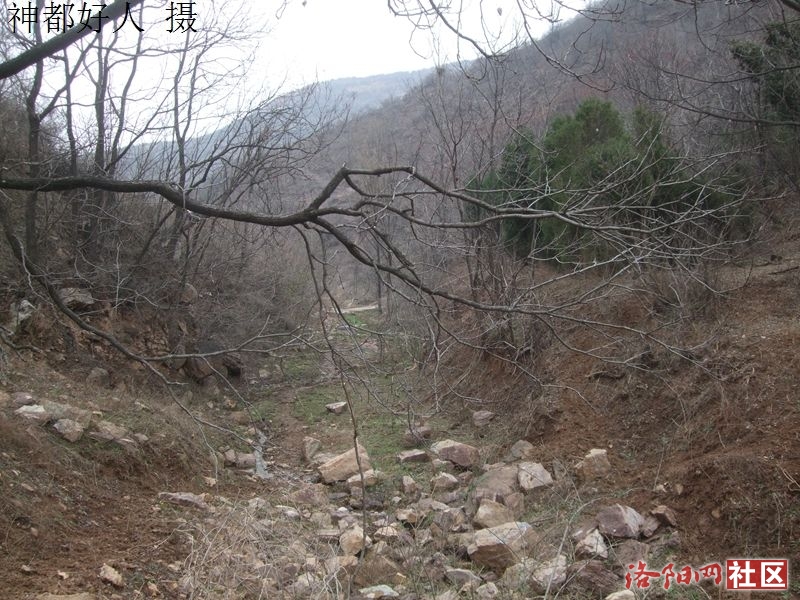 DSCF4005.JPG