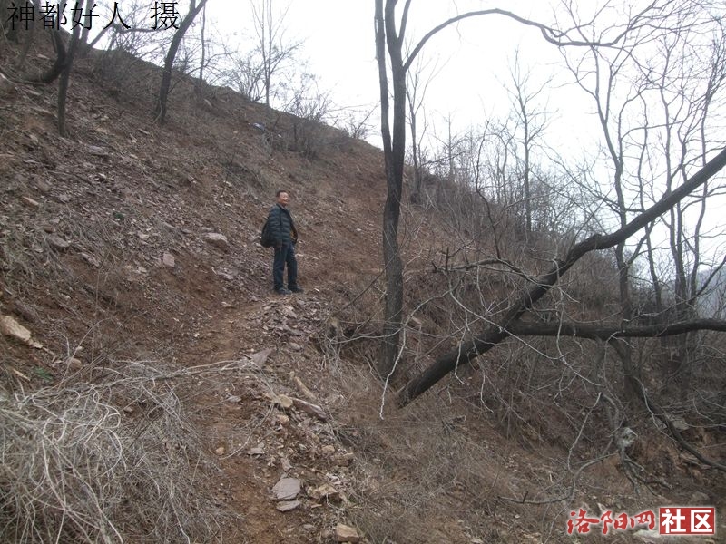 DSCF4006.JPG