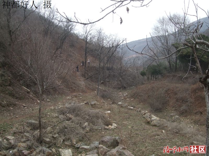 DSCF4007.JPG