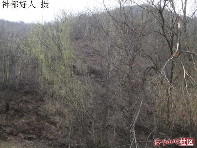 DSCF4022.JPG