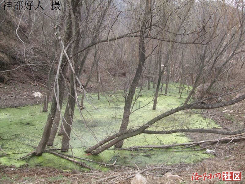 DSCF4023.JPG
