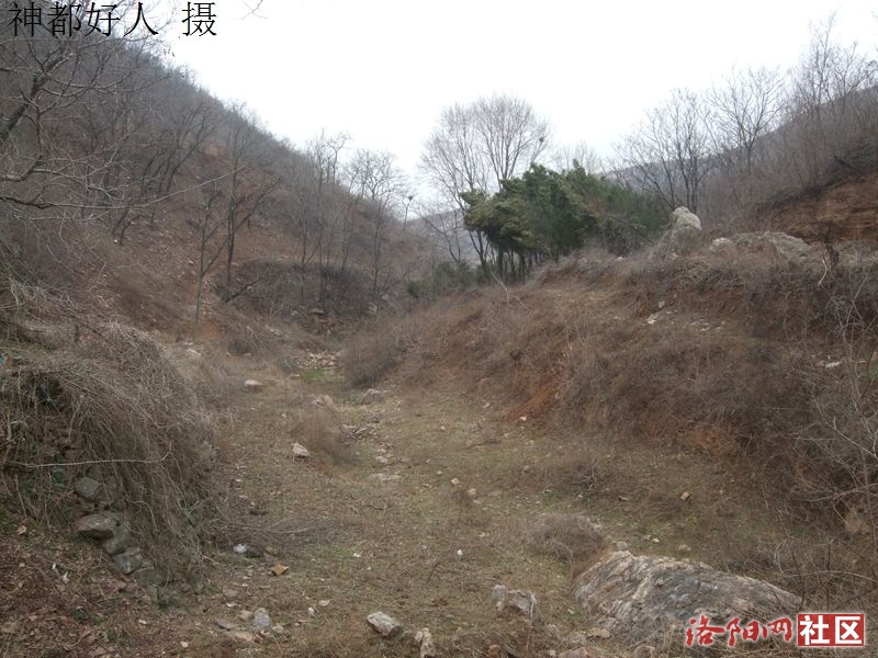 DSCF4024.JPG