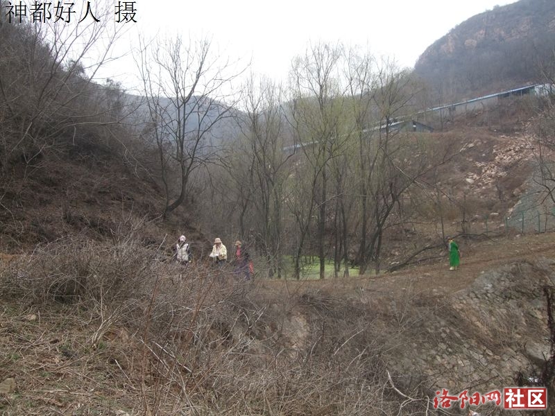 DSCF4028.JPG