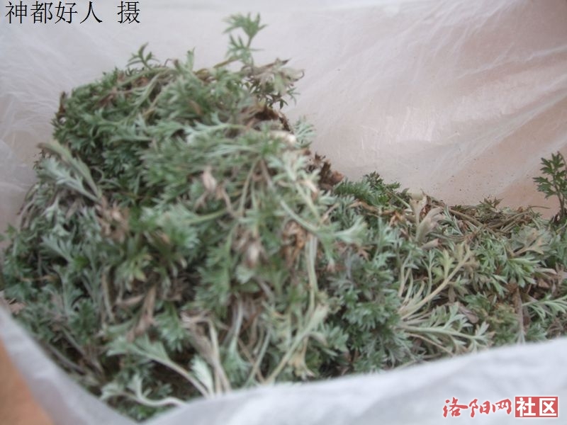 DSCF4031.JPG