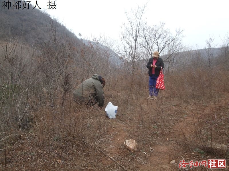 DSCF4032.JPG