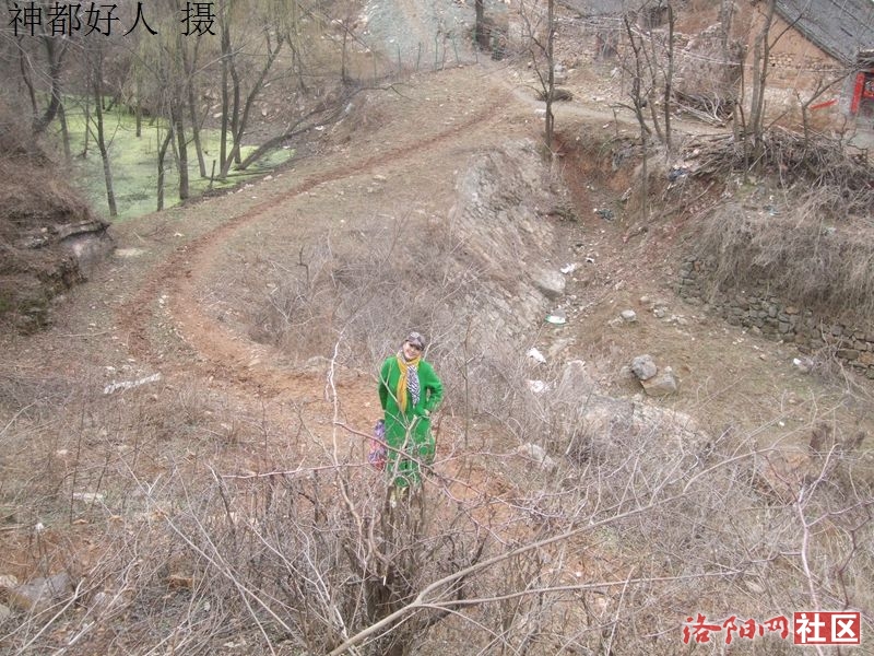 DSCF4033.JPG