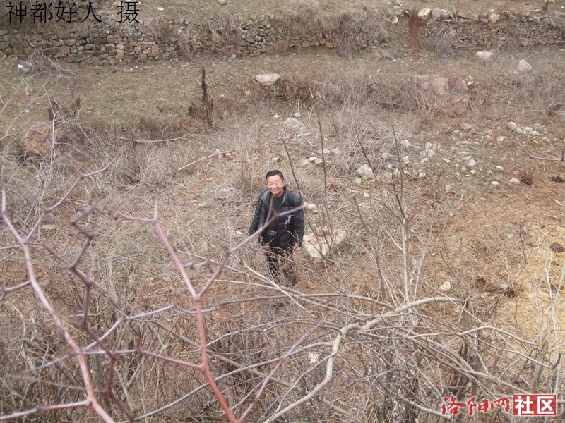 DSCF4034.JPG