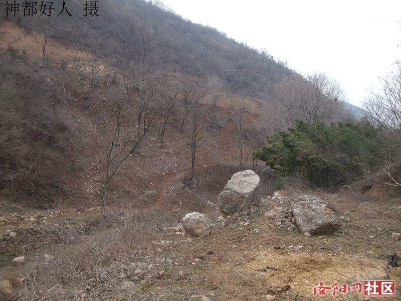 DSCF4041.JPG