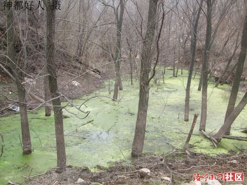DSCF4049.JPG