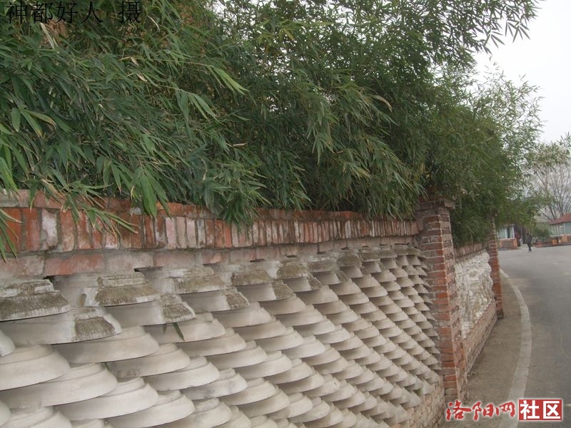 DSCF4102.JPG