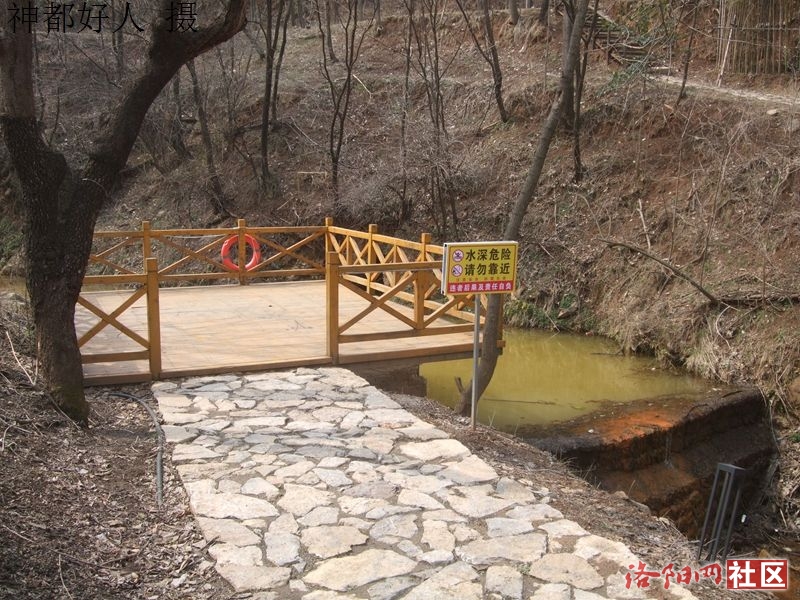 DSCF4155.JPG