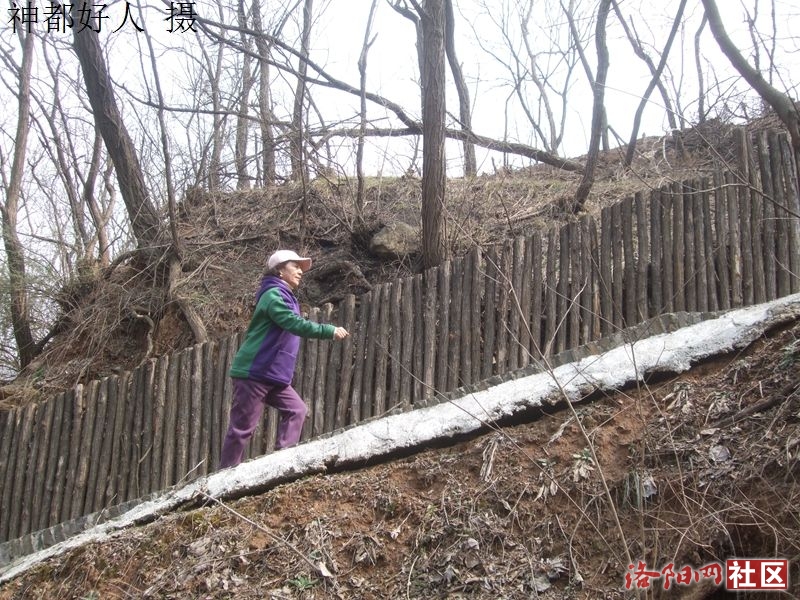 DSCF4156.JPG